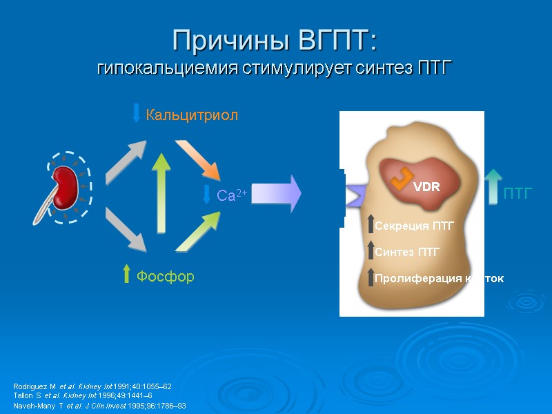 Причины ВГПТ: гипокальциемия стимулирует синтез ПТГ Rodriguez M et al. Kidney Int 1991;40:1055–62 Tallon